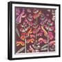 Flowers, Snapdragon Color-Belen Mena-Framed Giclee Print