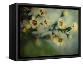 Flowers Strewn-Irene Suchocki-Framed Stretched Canvas