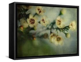Flowers Strewn-Irene Suchocki-Framed Stretched Canvas