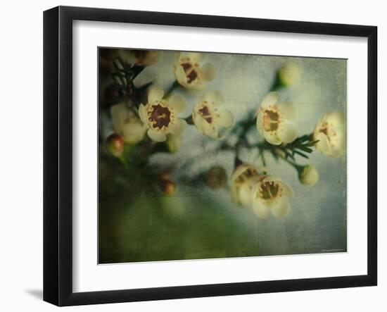 Flowers Strewn-Irene Suchocki-Framed Photographic Print