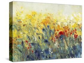 Flowers Sway I-Tim O'toole-Stretched Canvas