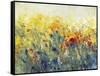 Flowers Sway I-Tim O'toole-Framed Stretched Canvas