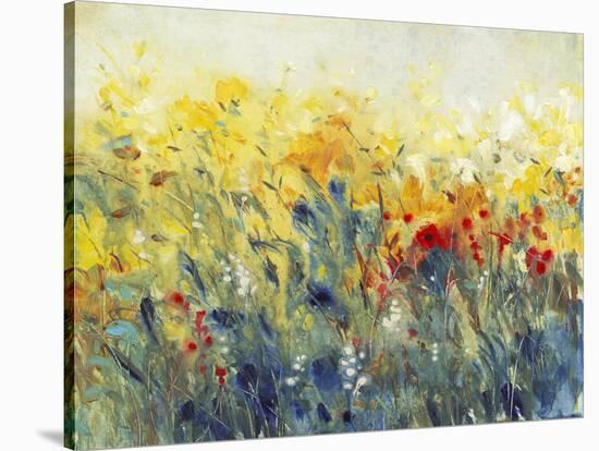 Flowers Sway I-Tim O'toole-Stretched Canvas