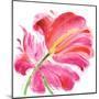 Flowers Symphony I-Celeste-Mounted Art Print