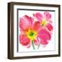 Flowers Symphony II-Celeste-Framed Art Print