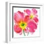 Flowers Symphony II-Celeste-Framed Art Print