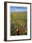 Flowers to the Horizon I-Donald Paulson-Framed Giclee Print