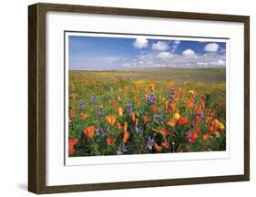 Flowers to the Horizon II-Donald Paulson-Framed Giclee Print