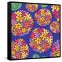 Flowers, Tupirosa Color-Belen Mena-Framed Stretched Canvas