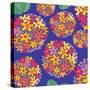 Flowers, Tupirosa Color-Belen Mena-Stretched Canvas