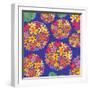 Flowers, Tupirosa Color-Belen Mena-Framed Giclee Print