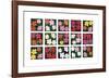 Flowers (various), 1964 - 1970-Andy Warhol-Framed Giclee Print