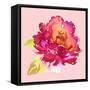 Flowers Watercolor Illustration. Manual Composition. Spring. Summer.-Karma3-Framed Stretched Canvas