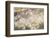 Flowers, white, blur-Jule Leibnitz-Framed Photographic Print