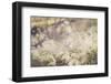 Flowers, white, blur-Jule Leibnitz-Framed Photographic Print