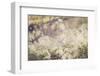 Flowers, white, blur-Jule Leibnitz-Framed Photographic Print