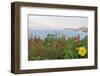 Flowers with a serene ocean background-Stacy Bass-Framed Photo