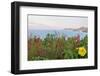 Flowers with a serene ocean background-Stacy Bass-Framed Photo