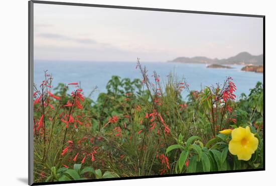 Flowers with a serene ocean background-Stacy Bass-Mounted Photo