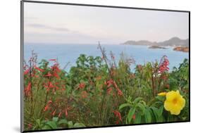 Flowers with a serene ocean background-Stacy Bass-Mounted Photo