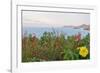 Flowers with a serene ocean background-Stacy Bass-Framed Photo