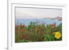 Flowers with a serene ocean background-Stacy Bass-Framed Photo