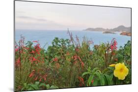 Flowers with a serene ocean background-Stacy Bass-Mounted Photo