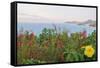 Flowers with a serene ocean background-Stacy Bass-Framed Stretched Canvas