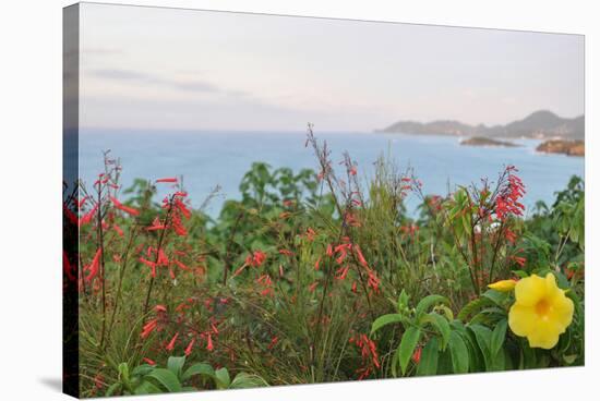 Flowers with a serene ocean background-Stacy Bass-Stretched Canvas