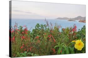 Flowers with a serene ocean background-Stacy Bass-Stretched Canvas