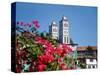 Flowers with church in the background, St. Vincent Ferrer Church, Baguio City, Luzon, Philippines-null-Stretched Canvas