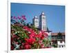 Flowers with church in the background, St. Vincent Ferrer Church, Baguio City, Luzon, Philippines-null-Framed Photographic Print