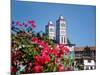 Flowers with church in the background, St. Vincent Ferrer Church, Baguio City, Luzon, Philippines-null-Mounted Photographic Print