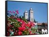 Flowers with church in the background, St. Vincent Ferrer Church, Baguio City, Luzon, Philippines-null-Framed Stretched Canvas