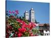 Flowers with church in the background, St. Vincent Ferrer Church, Baguio City, Luzon, Philippines-null-Stretched Canvas