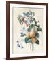 Flowers with Plums and Raspberries on their Branches (W/C and Bodycolour on Vellum)-Adele Riche-Framed Giclee Print