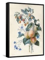 Flowers with Plums and Raspberries on their Branches (W/C and Bodycolour on Vellum)-Adele Riche-Framed Stretched Canvas