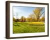 Flowers with Trees at Sherwood Gardens, Baltimore, Maryland, USA-null-Framed Photographic Print