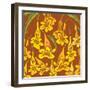 Flowers, Yellow Trumpetbush Color-Belen Mena-Framed Giclee Print