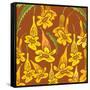 Flowers, Yellow Trumpetbush Color-Belen Mena-Framed Stretched Canvas