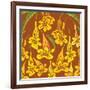 Flowers, Yellow Trumpetbush Color-Belen Mena-Framed Giclee Print