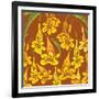 Flowers, Yellow Trumpetbush Color-Belen Mena-Framed Giclee Print