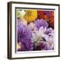 Flowers-Stacy Bass-Framed Giclee Print