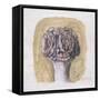 Flowers-Morandi Giorgio-Framed Stretched Canvas