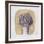 Flowers-Morandi Giorgio-Framed Giclee Print