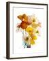 Flowers-Andrzej Pluta-Framed Giclee Print