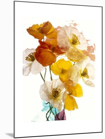 Flowers-Andrzej Pluta-Mounted Giclee Print