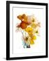 Flowers-Andrzej Pluta-Framed Giclee Print