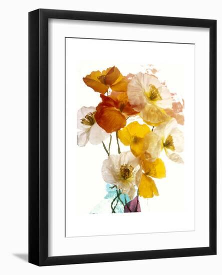 Flowers-Andrzej Pluta-Framed Giclee Print