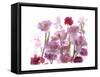 Flowers-Andrzej Pluta-Framed Stretched Canvas